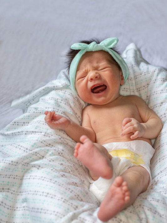 Soothing Baby Gripe: The Caribbean Tradition of Using Soursop (Graviola) Leaves