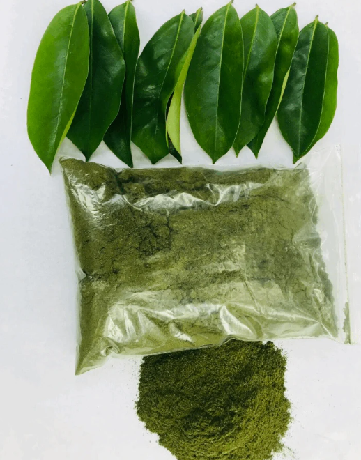 Soursop Powder ||  100% Caribbean Soursop Leaf Powder || Organic Graviola Leaf Powder