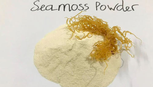 Shop D Caribbean || Sea moss Powder ( Raw Wildcrafted) - Sea moss business wholesale