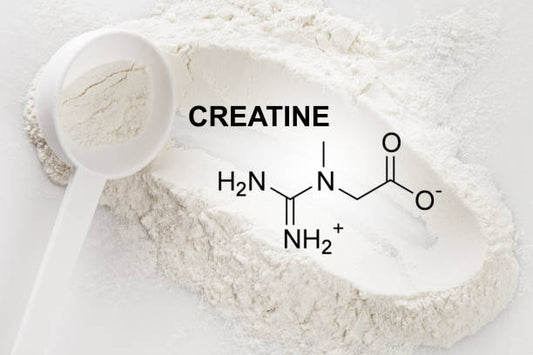 CREATINE  || WHITE LABEL PRODUCT || CUSTOM YOUR OWN BRAND