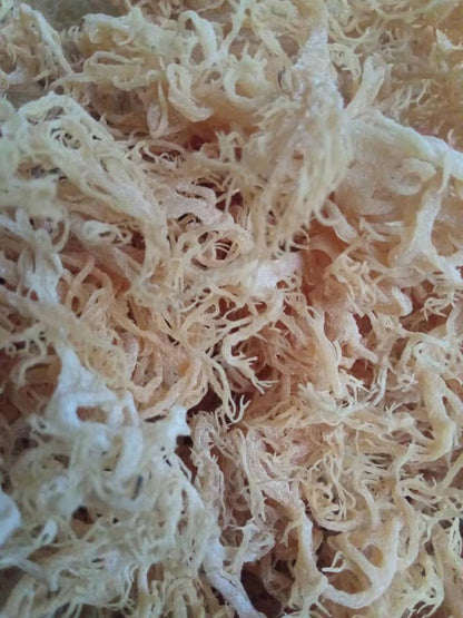 Wildcrafted Sea Moss [Premium Gold] - 4oz Pouch