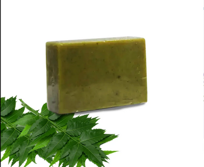 SEA MOSS SOAP || WILDCRAFTED SEA MOSS SOAP COLLECTION