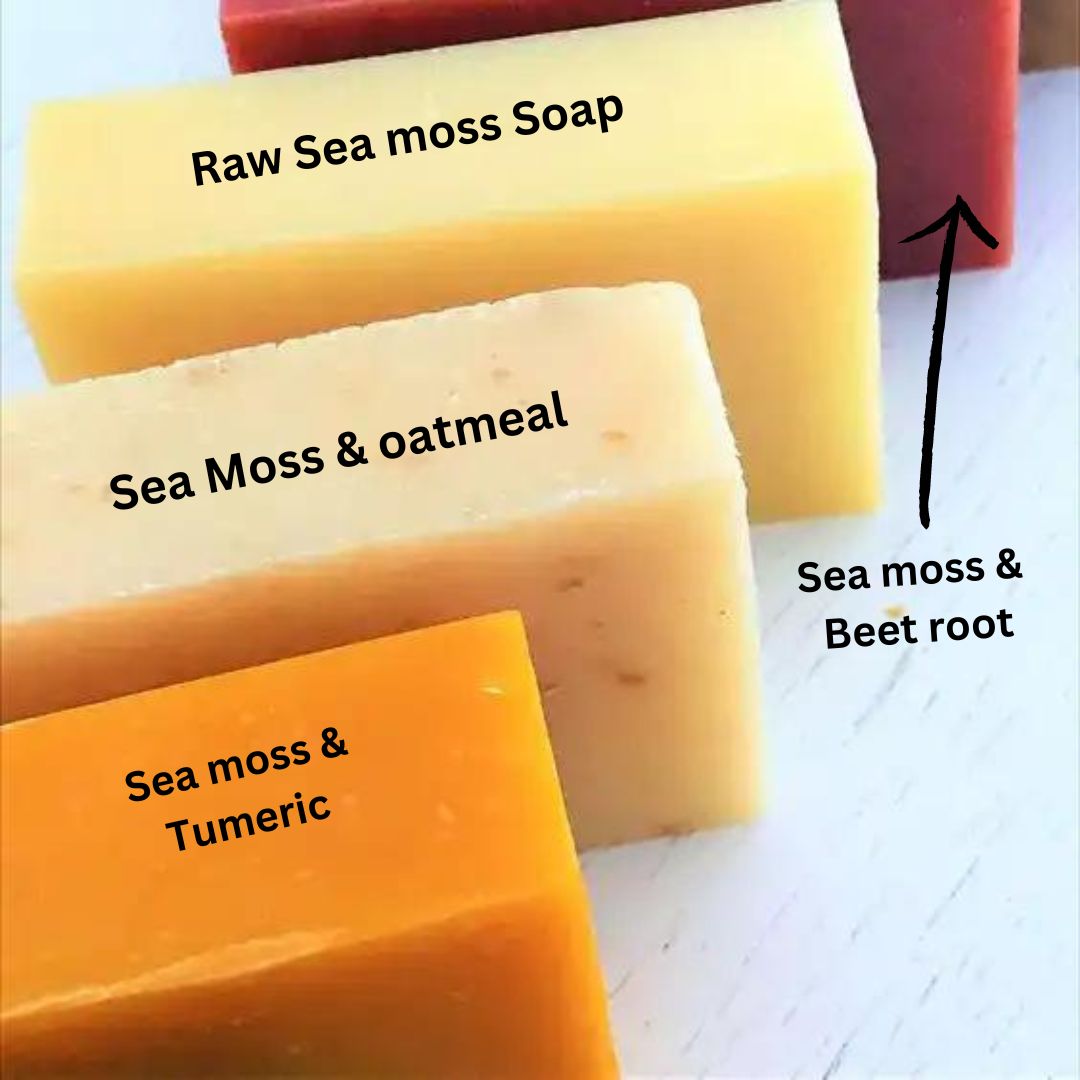 SEA MOSS SOAP || WILDCRAFTED SEA MOSS SOAP COLLECTION