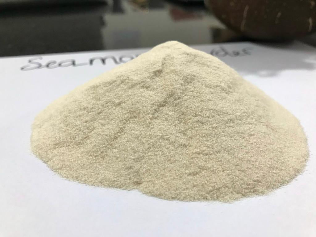Wildcrafted Sea Moss Powder [100% caribbean sea moss powder] - 4 oz