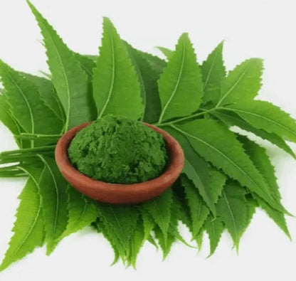 Neem Leaf Powder || Organic need leaves Powder || 10 lbs Sample